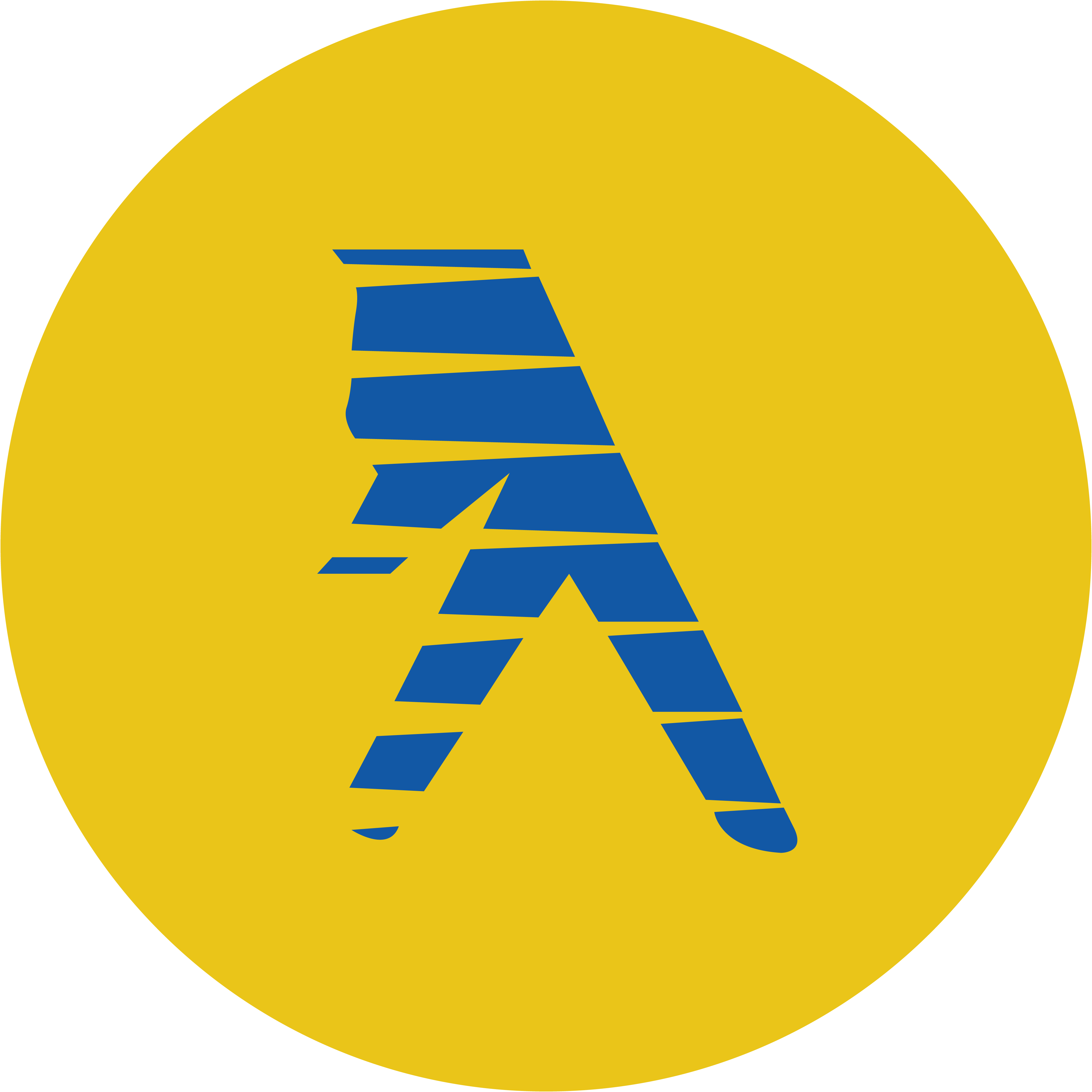 medallion-avantar_yellowpages