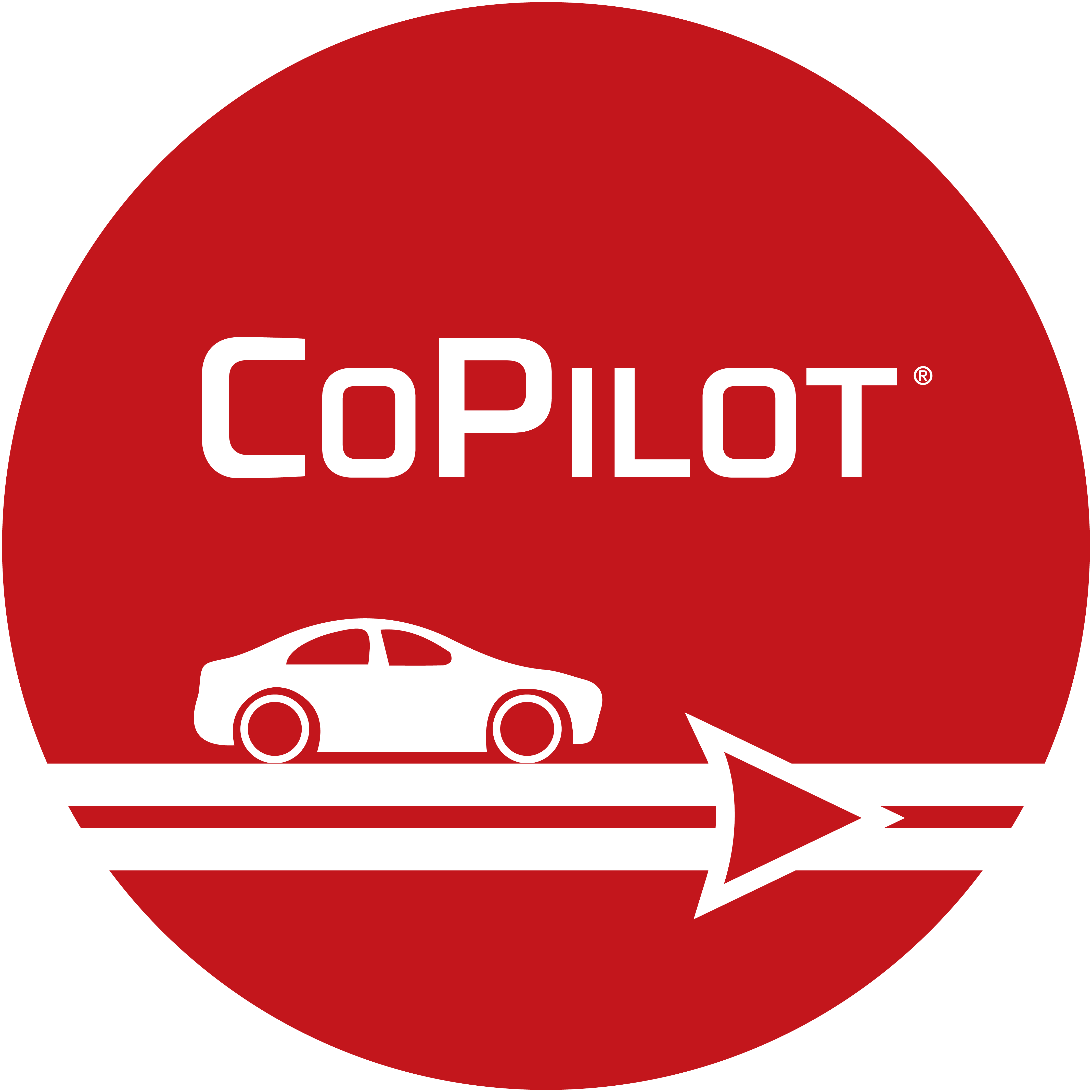 medallion-copilot-1