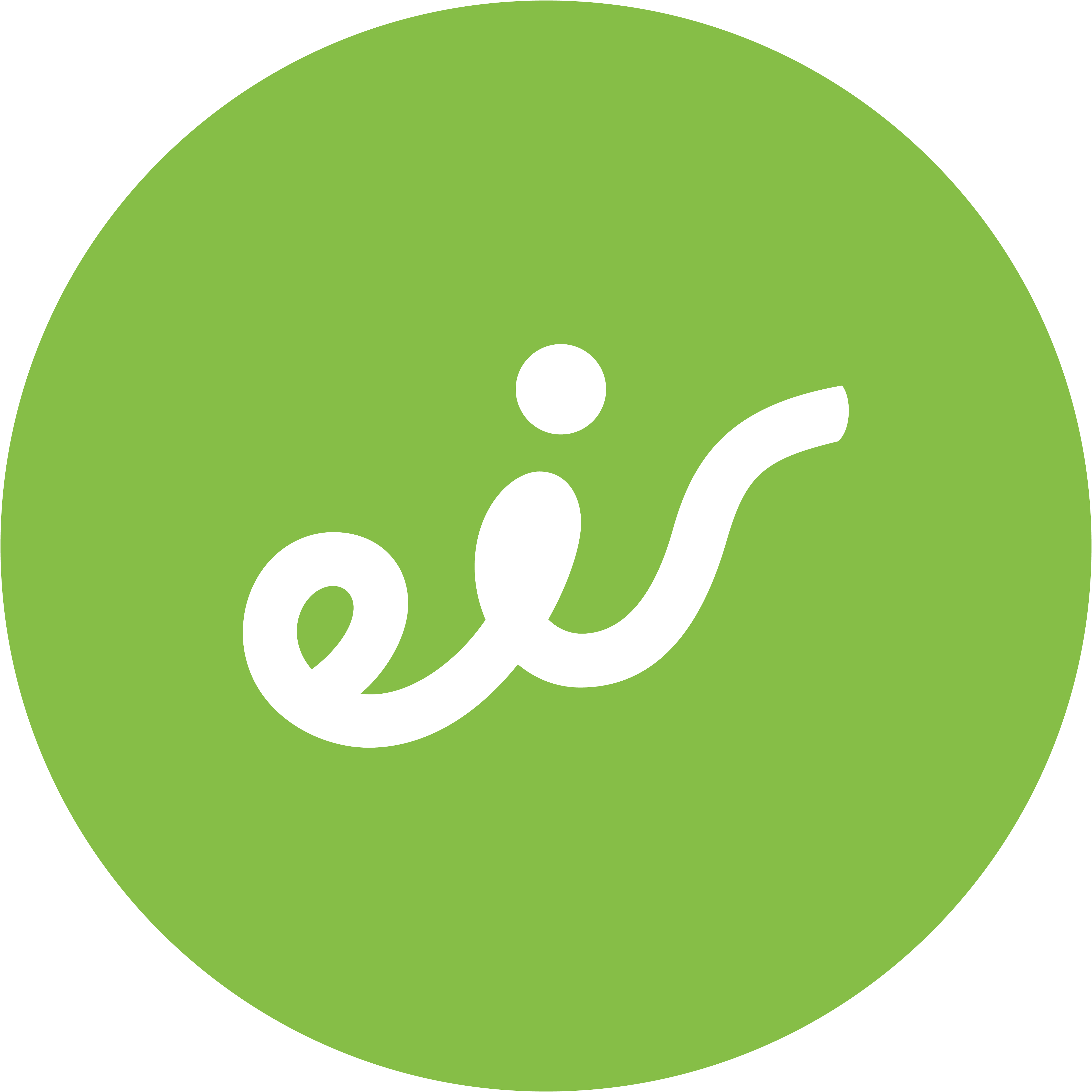 medallion-eir