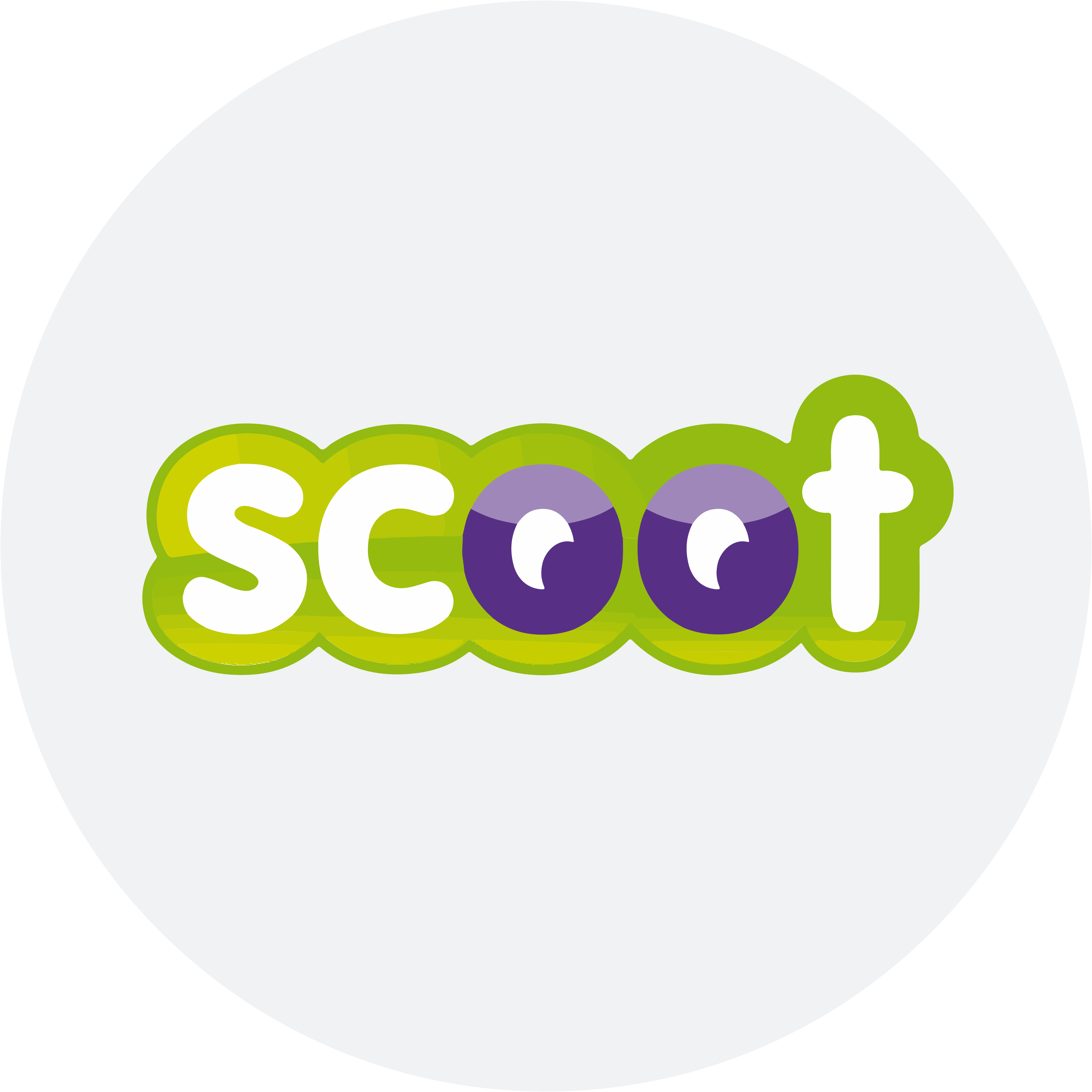 medallion-scoot