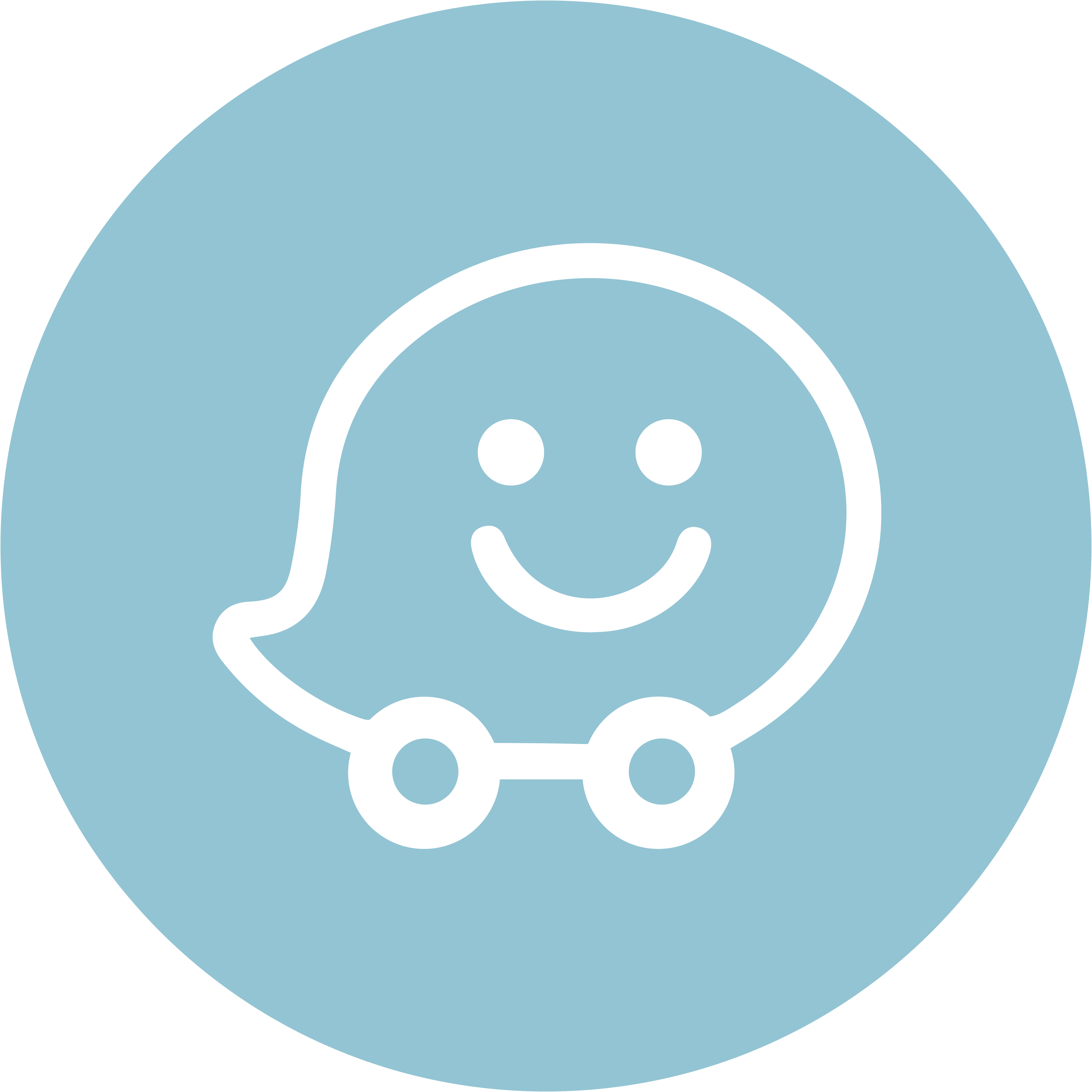 medallion-waze