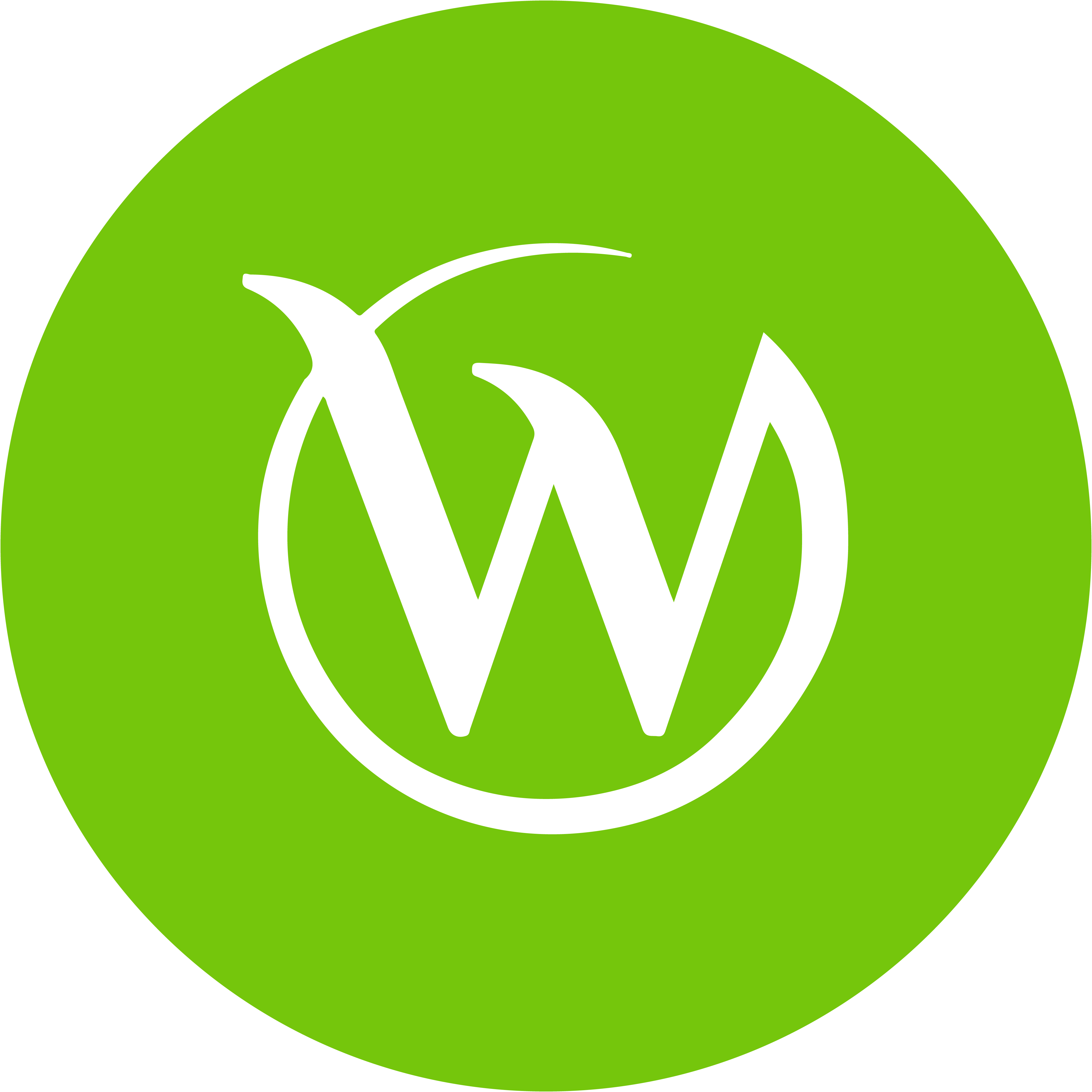 medallion-wellness