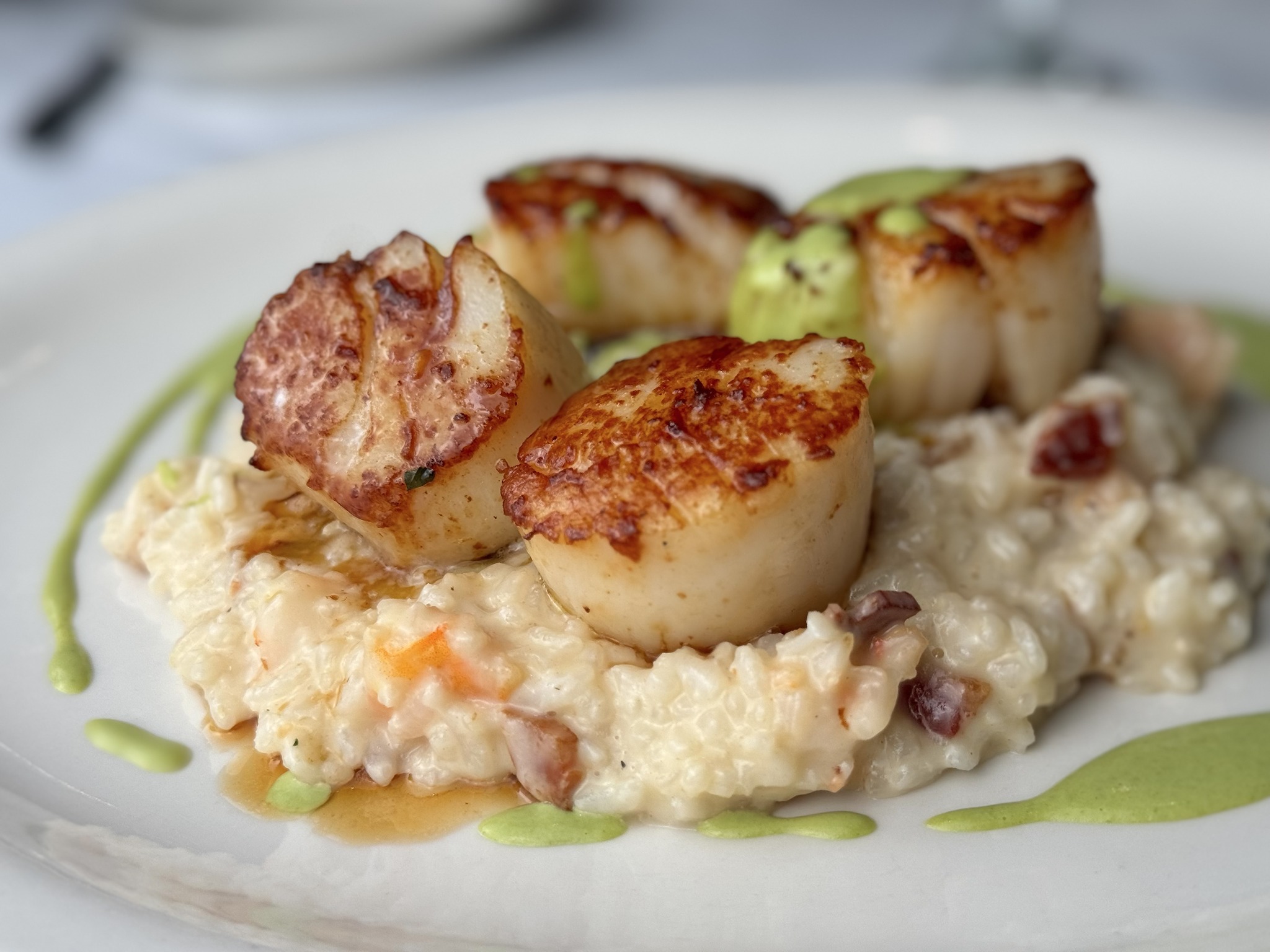 526676835_1326141349516543_111607243691756408_n